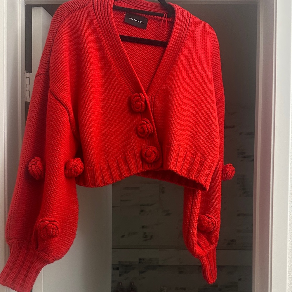 Animari- Red Cropped Sweater with knit roses